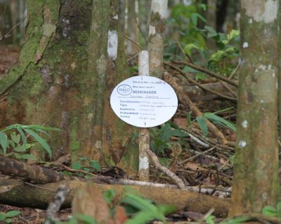 UNESCO reúne a expertos para definir la "Cultura para la Paz"