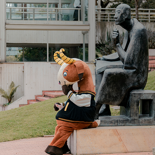Vida Universitaria 5