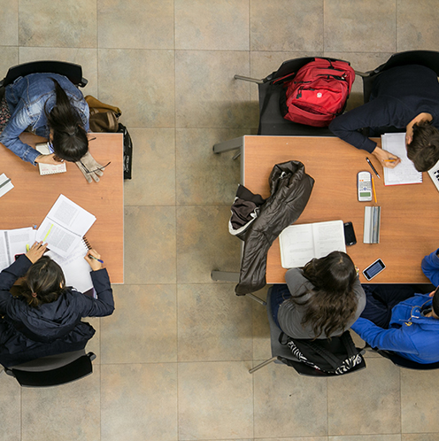Vida Universitaria