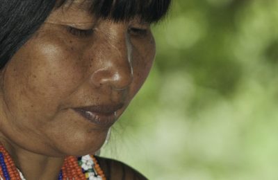 Embera E1 Web