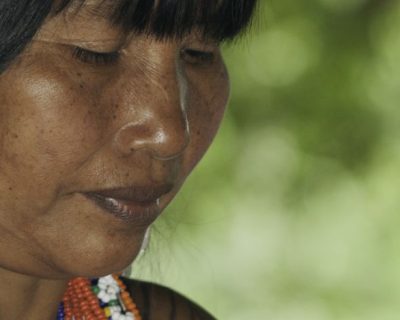 Embera E1 Web