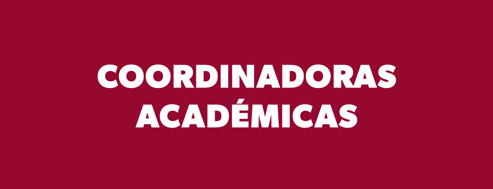 Coordinadoras Académicas de la Universidad de los Andes