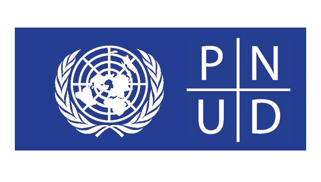Logo PNUD de la Universidad de los Andes