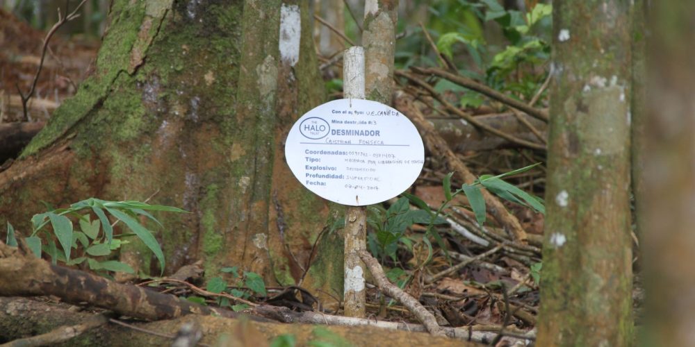 UNESCO reúne a expertos para definir la "Cultura para la Paz"