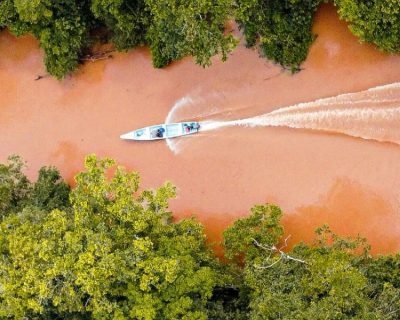 transicion-energetica