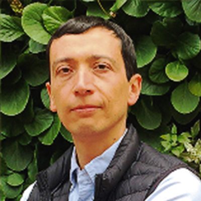 Gonzalo Vargas Profesor Cider