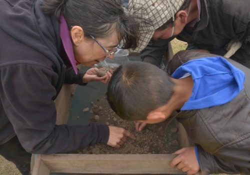 Participación de las comunidades escolares locales en los trabajos de arqueología durante la excavación sitio arqueológico de Checua. En la fotografía la profesora Sonia Archila entrena niños interesados en el trabajo de recuperar restos óseos de fauna.