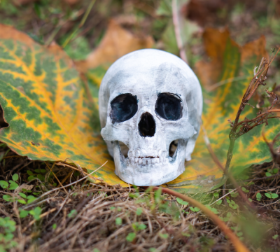 psicologia-antropologica