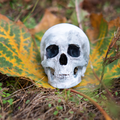 psicologia-antropologica