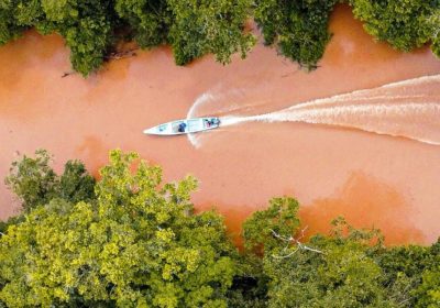 transicion-energetica